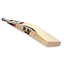 PLAY Limited Edition Cricket Bat